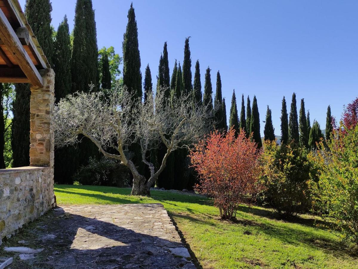 Atmospheric Apartment In Authentic House Near Beautiful Sasso Pisano Luaran gambar